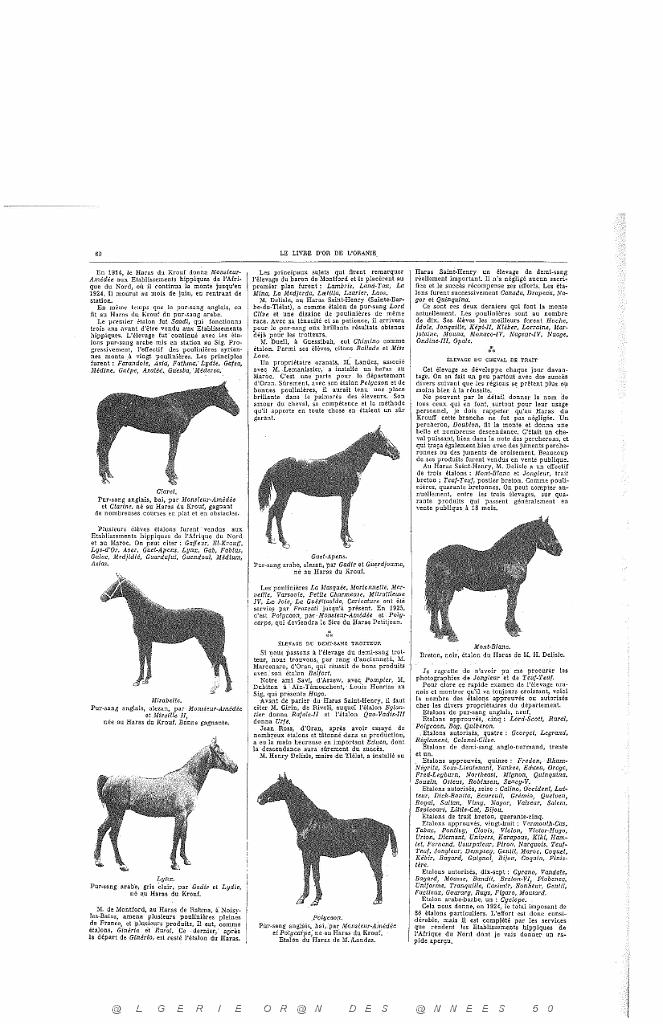 LIVRE D OR DE L ORANIE_000011.jpg